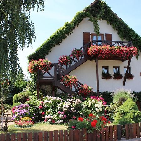 Apartment Route Du Vin Centre Alsace Orschwiller Rom bilde