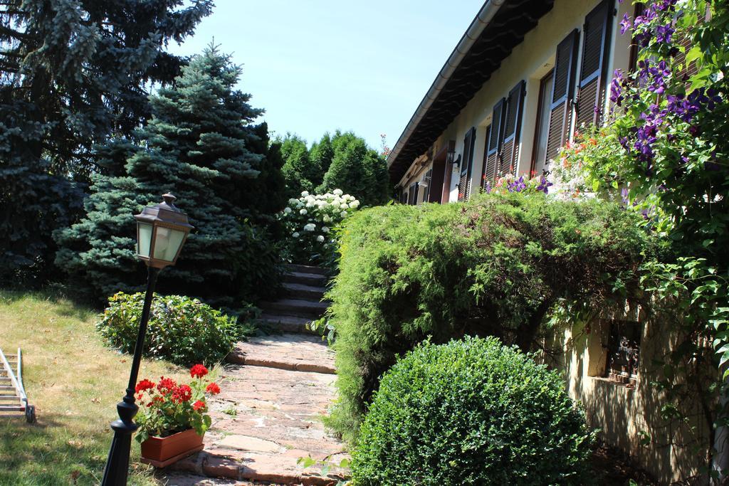 Apartment Route Du Vin Centre Alsace Orschwiller Rom bilde