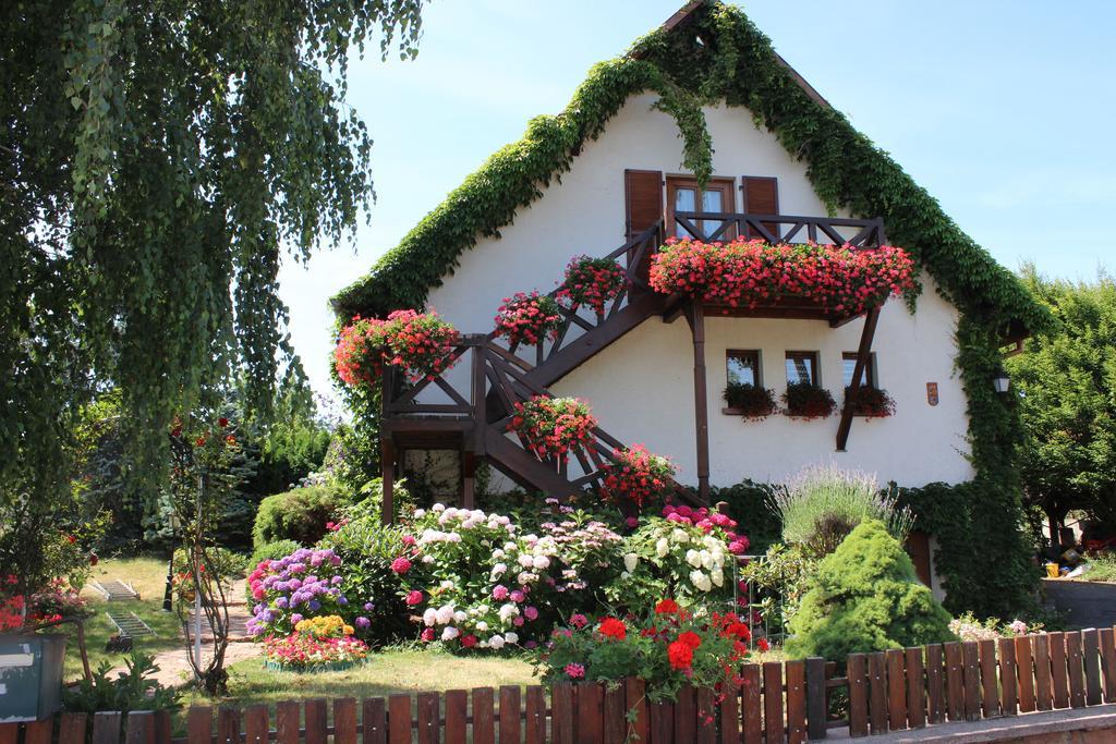 Apartment Route Du Vin Centre Alsace Orschwiller Rom bilde