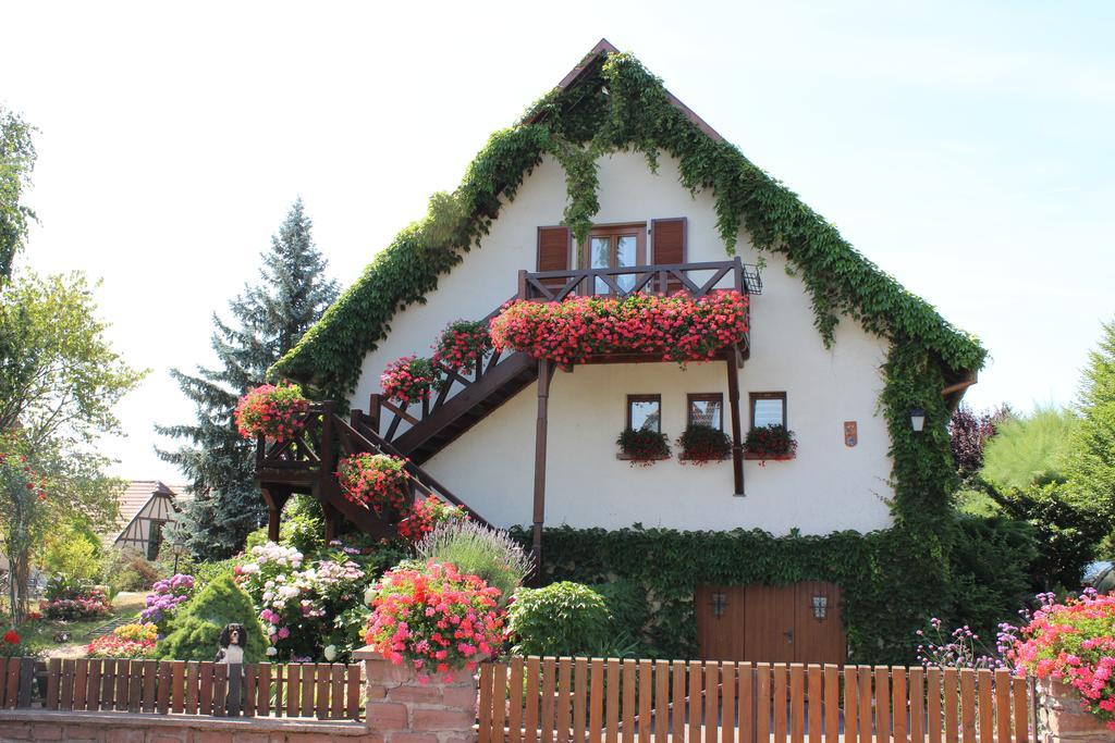 Apartment Route Du Vin Centre Alsace Orschwiller Rom bilde